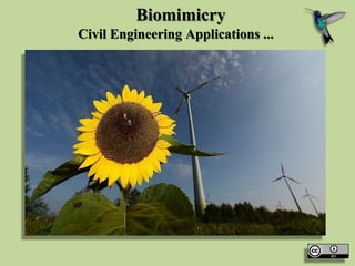 Biomimicry
Civil Engineering Applications ...
 