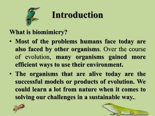 Introduction
What is biomimicry?
• Most of the problems humans face today are
also faced by other organisms. Over the cour...
