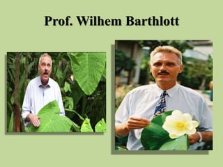 Prof. Wilhem Barthlott
 