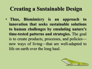 Creating a Sustainable Design
• Thus, Biomimicry is an approach to
innovation that seeks sustainable solutions
to human ch...