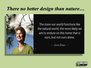 There no better design than nature…
 