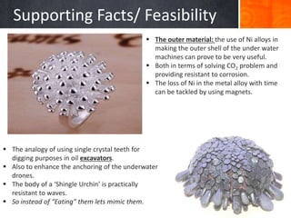 Biomimicry-Sea Urchins | PPTX