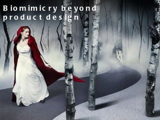 Biomimicry beyond product design 