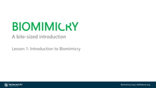 Biomimicry.org | AskNature.org
BIOMIMICRY
A bite-sized introduction
Lesson 1: Introduction to Biomimicry
 