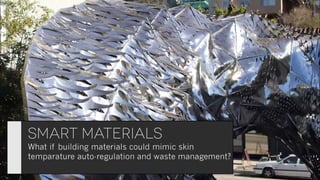 Biomimicry: when mother nature inspires true innovation