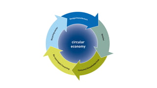 Biomimicry: when mother nature inspires true innovation