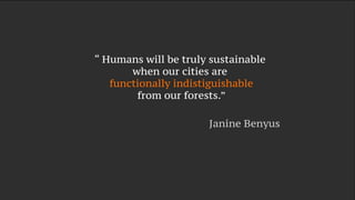 Biomimicry: when mother nature inspires true innovation