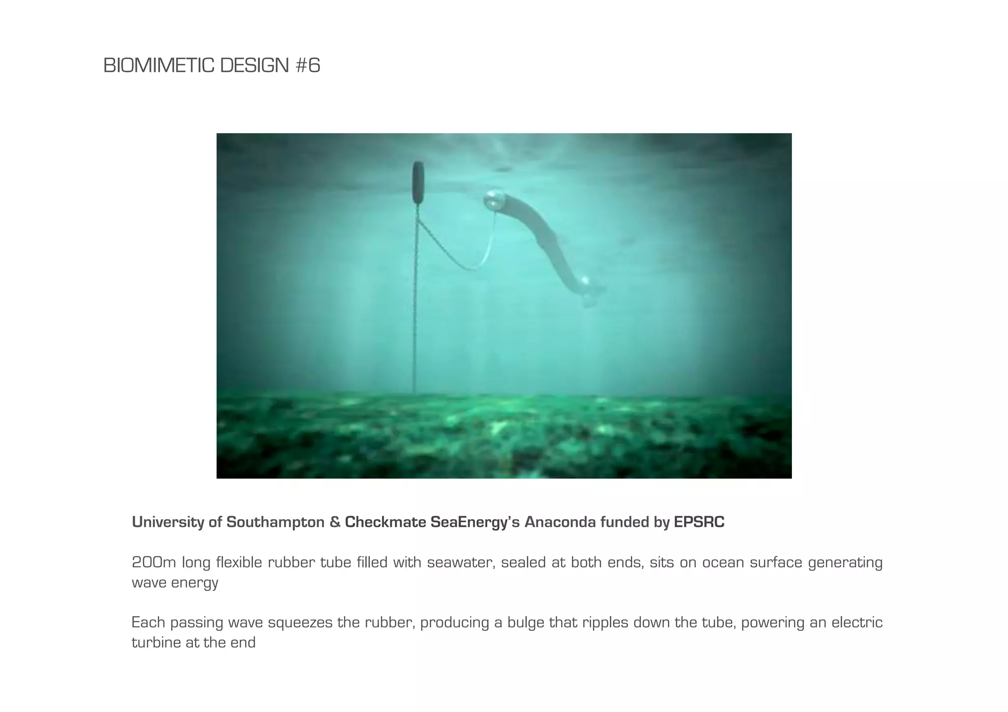 BIOMIMETIC DESIGN #6




  University of Southampton & Checkmate SeaEnergy’s Anaconda funded by EPSRC

  200m long flexible rubber tube filled with seawater, sealed at both ends, sits on ocean surface generating
  wave energy

  Each passing wave squeezes the rubber, producing a bulge that ripples down the tube, powering an electric
  turbine at the end
 