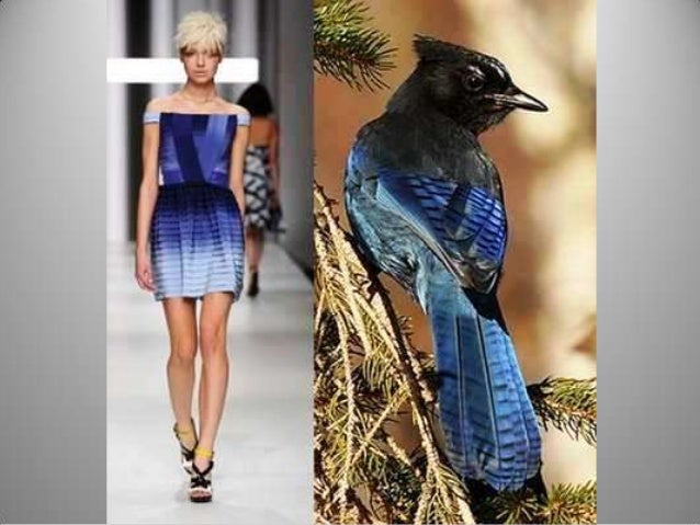 Biomimicry in fashion
