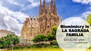 Biomimicry in
LA SAGRADA
FAMILIA
BAECELONA SPAIN
 