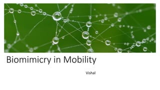 Biomimicry in Mobility 
Vishal  