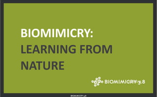 BIOMIMICRY:
LEARNING FROM
NATURE
April 2012

 
