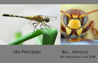 Life Principles
NID, Bangalore I June 2014
Bio - Mimicry
 