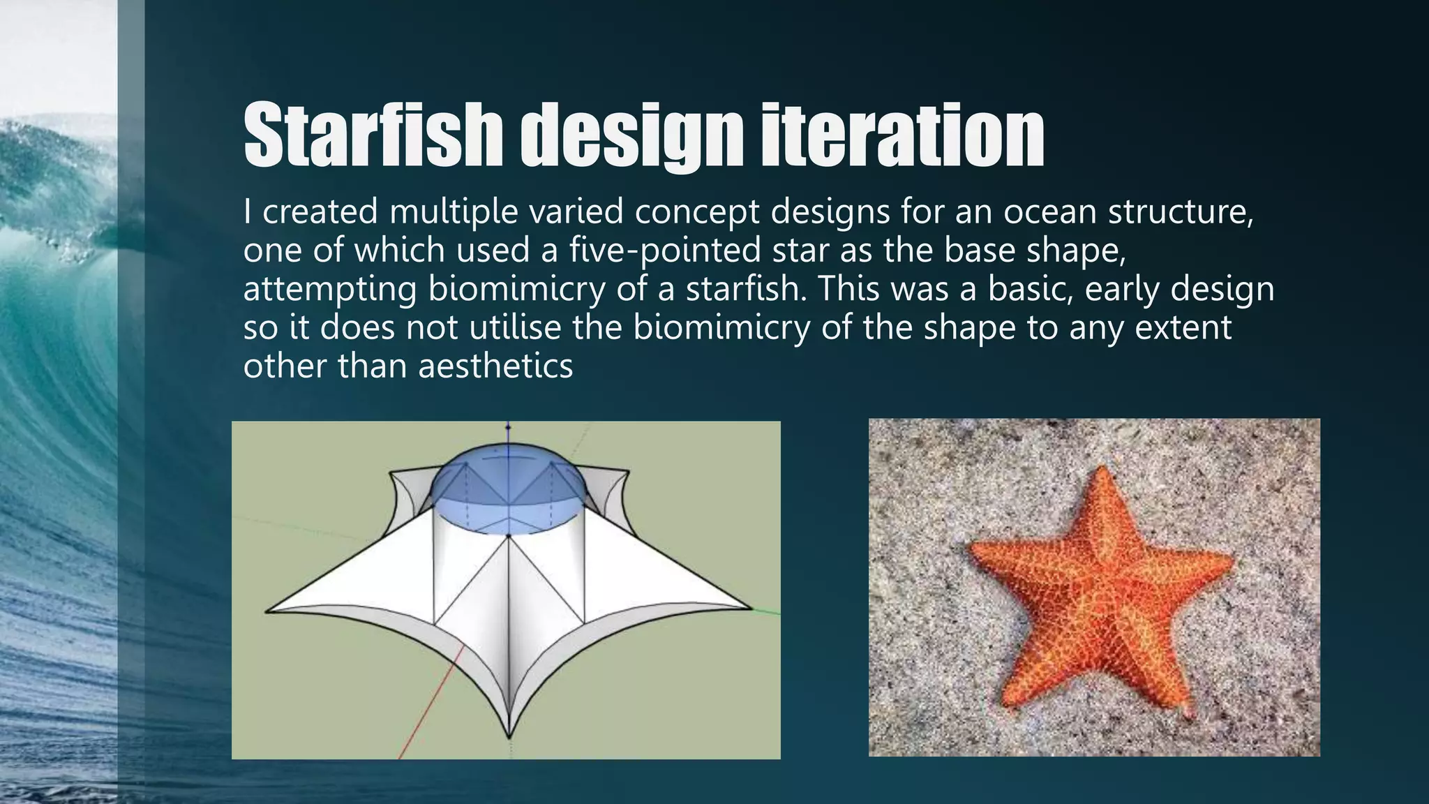 Biomimicry Portfolio B Sample.pptx