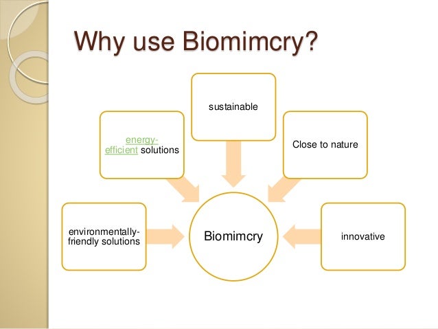 buy Change Your Mind, Heal Your Body: When Modern Medicine Has