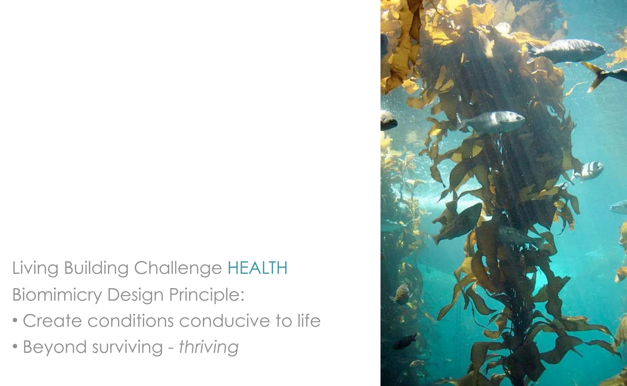 Living Building Challenge HEALTH
Biomimicry Design Principle:
• Create conditions conducive to life
• Beyond surviving - thriving
 