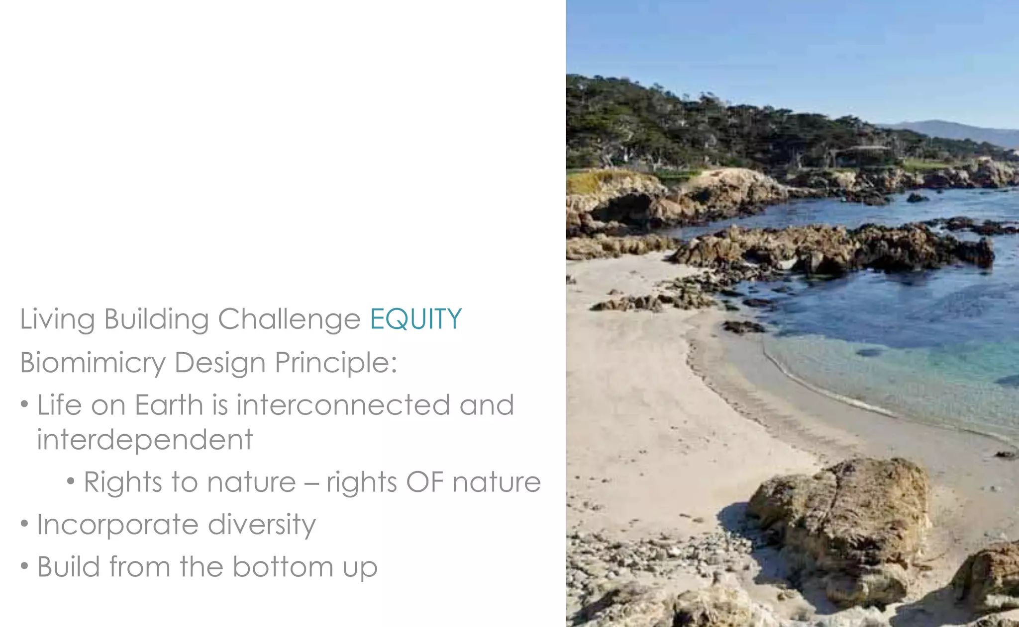 Living Building Challenge EQUITY
Biomimicry Design Principle:
• Life on Earth is interconnected and
  interdependent
     • Rights to nature – rights OF nature
• Incorporate diversity
• Build from the bottom up
 