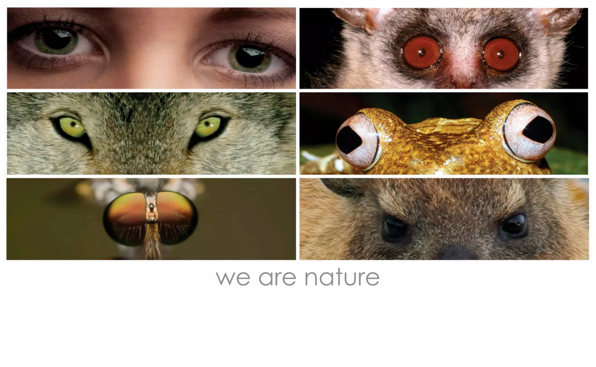 we are nature
 