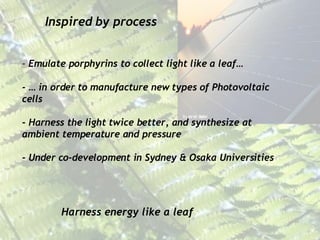 Inspired by process Harness energy like a leaf -  Emulate porphyrins   to collect light like a leaf… - … in order to manufacture new types of Photovoltaic cells  - Harness the light twice better, and synthesize at ambient temperature and pressure - Under co-development in Sydney & Osaka Universities 