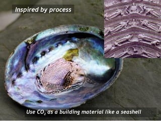 Inspired by process Use CO 2  as a building material like a seashell 