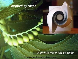 Play with water like an algae Inspired by shape 