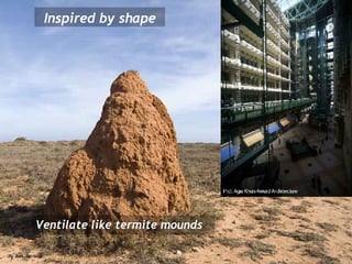 Ventilate like termite mounds Inspired by shape 