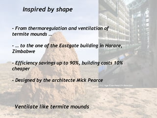 Inspired by shape Ventilate like termite mounds -   From thermoregulation and ventilation of termite mounds … - … to the one of the Eastgate building in Harare, Zimbabwe - Efficiency savings up to 90%, building costs 10% cheaper - Designed by the architecte Mick Pearce 