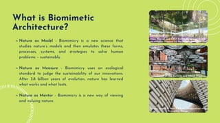Nature as Model - Biomimicry is a new science that
studies nature’s models and then emulates these forms,
processes, systems, and strategies to solve human
problems – sustainably.
Nature as Measure - Biomimicry uses an ecological
standard to judge the sustainability of our innovations.
After 3.8 billion years of evolution, nature has learned
what works and what lasts.
Nature as Mentor - Biomimicry is a new way of viewing
and valuing nature.
What is Biomimetic

Architecture?
Jean Nouvel and OXO Architects design mixed-

use complex inspired by the shape of a mountain.
Installation at the Victoria and Albert Museum
Living, based in New York, in collaboration with

Ecovative Design
 