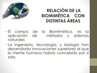 RELACIÓN DE LA 
BIOMIMÉTICA CON 
DISTINTAS ÁREAS 
• El campo de la Biomimética, es la 
aplicación de métodos y sistemas 
naturales 
• La ingeniería, tecnología, y biología han 
desarrollado innovaciones superiores al que 
la mente humana habría concebido por sí 
sola. 
 