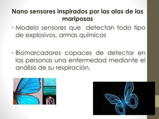 Nano sensores inspirados por las alas de las 
mariposas 
• Modelo sensores que detectan todo tipo 
de explosivos, armas químicas 
• Biomarcadores capaces de detectar en 
las personas una enfermedad mediante el 
análisis de su respiración. 
 