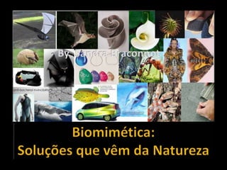 BIOMIMÉTICA: SOLUÇÕES
QUE
VÊM DA NATUREZA.
 