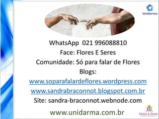 WhatsApp 021 996088810
Face: Flores E Seres
Comunidade: Só para falar de Flores
Blogs:
www.soparafalardeflores.wordpress.com
www.sandrabraconnot.blogspot.com.br
Site: sandra-braconnot.webnode.com
www.unidarma.com.br
 