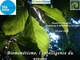 Biomimétisme, l’intelligence du vivant Gauthier Chapelle,  Greenloop & Biomimicry Europa 24 juin 2010  