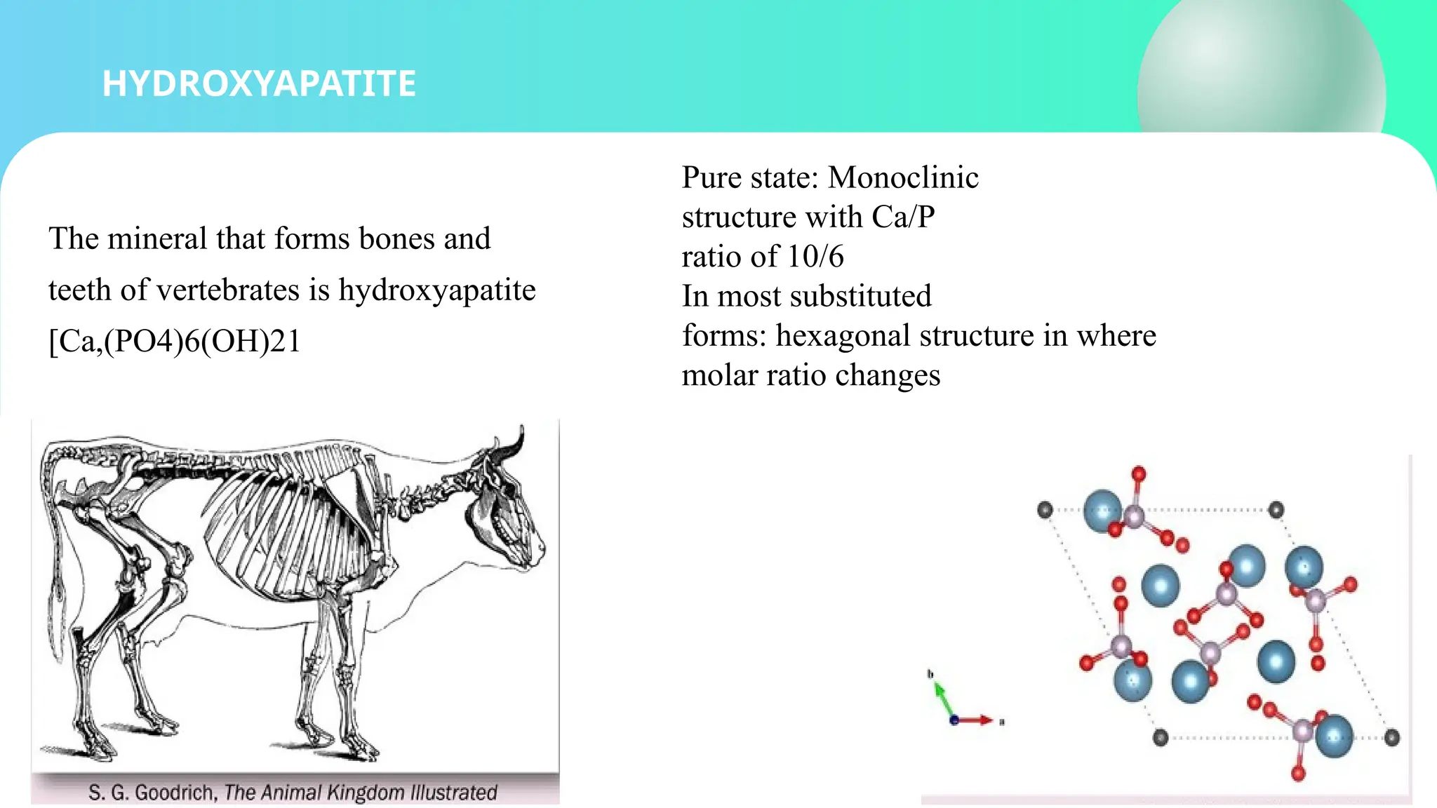 HYDROXYAPATITE
The mineral that forms bones and
teeth of vertebrates is hydroxyapatite
[Ca,(PO4)6(OH)21
Pure state: Monoclinic
structure with Ca/P
ratio of 10/6
In most substituted
forms: hexagonal structure in where
molar ratio changes
 