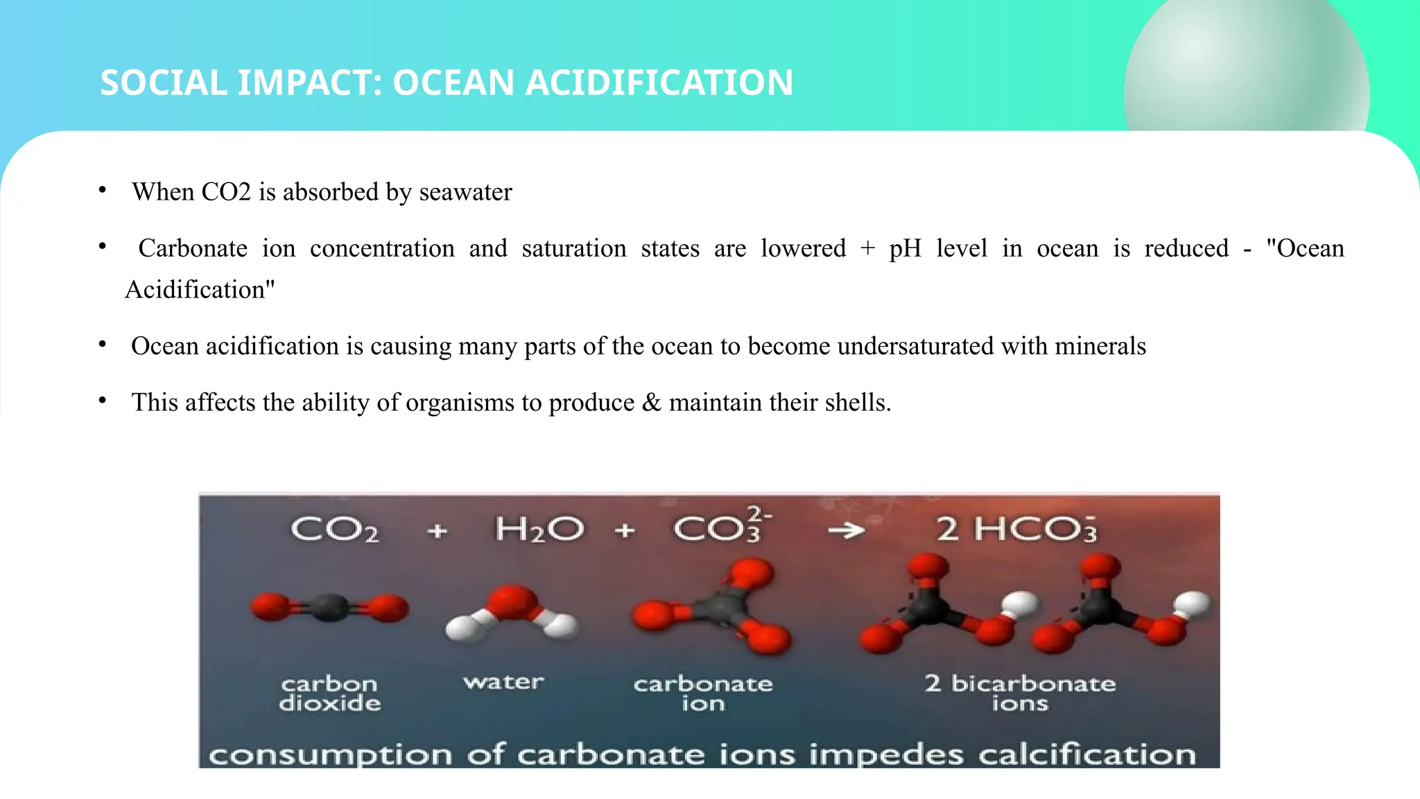 SOCIAL IMPACT: OCEAN ACIDIFICATION
• When CO2 is absorbed by seawater
• Carbonate ion concentration and saturation states are lowered + pH level in ocean is reduced - "Ocean
Acidification"
• Ocean acidification is causing many parts of the ocean to become undersaturated with minerals
• This affects the ability of organisms to produce & maintain their shells.
 