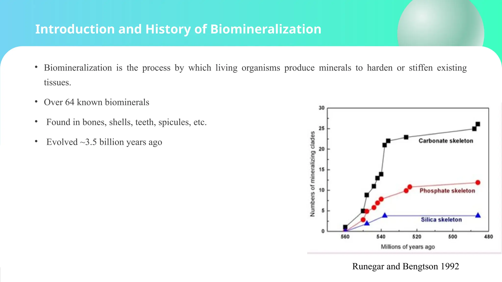 Introduction and History of Biomineralization
• Biomineralization is the process by which living organisms produce minerals to harden or stiffen existing
tissues.
• Over 64 known biominerals
• Found in bones, shells, teeth, spicules, etc.
• Evolved ~3.5 billion years ago
Runegar and Bengtson 1992
 