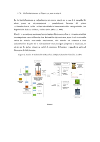 3.1.1. Biolixiviacion como un bioproceso para la minería
La lixiviación bacteriana se explicaba como un proceso natural que se vale de la capacidad de
cierto grupo de microorganismos – principalmente bacterias del género
Acidithiobacillus de oxidar sulfuros metálicos hacia sus sulfatos solubles correspondientes, con
la producción de ácido sulfúrico y sulfato férrico. (ROJAS, 2008)
El cobre es un metal que se extrae en la minería a tajo abierto, para realizar la extracción, se utiliza
microorgnismos como Acidithiobacillus, Sulfobacillus spp, entre otros, según el artículo revisado
utiliza las bacterias mencionadas anteriormente, estas bacterias son tolerantes a altas
concentraciones de cobre por el cual realizaron varios pasos para comprobar su efectividad, se
dividió en dos partes: primero se realizó el aislamiento de bacterias y segundo se realiza el
bioproceso de biolixiviacion.
Figura 2. modelo de aislamiento de bacterias acidófilas altamente resistente al cobre
Fuente:
 