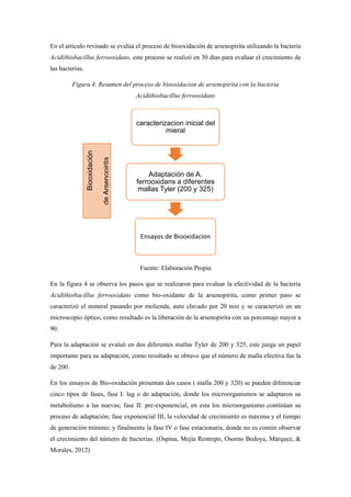 En el artículo revisado se evalúa el proceso de biooxidación de arsenopirita utilizando la bacteria
Acidithiobacillus ferrooxidans, este proceso se realizó en 30 días para evaluar el crecimiento de
las bacterias.
Figura 4. Resumen del proceso de biooxidacion de arsenopirita con la bacteria
Acidithiobacillus ferrooxidans
Fuente: Elaboración Propia
En la figura 4 se observa los pasos que se realizaron para evaluar la efectividad de la bacteria
Acidithiobacillus ferrooxidans como bio-oxidante de la arsenopirita, como primer paso se
caracterizó el mineral pasando por molienda, auto clavado por 20 min y se caracterizó en un
microscopio óptico, como resultado es la liberación de la arsenopirita con un porcentaje mayor a
90.
Para la adaptación se evaluó en dos diferentes mallas Tyler de 200 y 325, este juega un papel
importante para su adaptación, como resultado se obtuvo que el número de malla efectiva fue la
de 200.
En los ensayos de Bio-oxidación presentan dos casos ( malla 200 y 320) se pueden diferenciar
cinco tipos de fases, fase I: lag o de adaptación, donde los microorganismos se adaptaron su
metabolismo a las nuevas; fase II: pre-exponencial, en esta los microorganismo continúan su
proceso de adaptación; fase exponencial III, la velocidad de crecimiento es máxima y el tiempo
de generación mínimo; y finalmente la fase IV o fase estacionaria, donde no es común observar
el crecimiento del número de bacterias. (Ospina, Mejía Restrepo, Osorno Bedoya, Márquez, &
Morales, 2012)
caracterizacion inicial del
mieral
Adaptación de A.
ferrooxidans a diferentes
mallas Tyler (200 y 325)
Ensayos de Biooxidacion
Biooxidación
de
Arsenopirita
 
