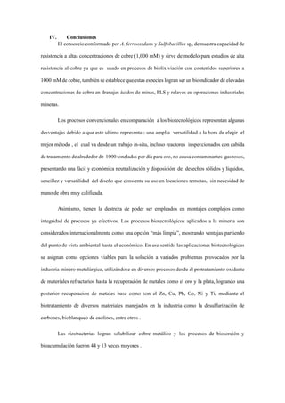IV. Conclusiones
El consorcio conformado por A. ferrooxidans y Sulfobacillus sp, demuestra capacidad de
resistencia a altas concentraciones de cobre (1,000 mM) y sirve de modelo para estudios de alta
resistencia al cobre ya que es usado en procesos de biolixiviación con contenidos superiores a
1000 mM de cobre, también se establece que estas especies logran ser un bioindicador de elevadas
concentraciones de cobre en drenajes ácidos de minas, PLS y relaves en operaciones industriales
mineras.
Los procesos convencionales en comparación a los biotecnológicos representan algunas
desventajas debido a que este ultimo representa : una amplia versatilidad a la hora de elegir el
mejor método , el cual va desde un trabajo in-situ, incluso reactores inspeccionados con cabida
de tratamiento de alrededor de 1000 toneladas por día para oro, no causa contaminantes gaseosos,
presentando una fácil y económica neutralización y disposición de desechos sólidos y líquidos,
sencillez y versatilidad del diseño que consiente su uso en locaciones remotas, sin necesidad de
mano de obra muy calificada.
Asimismo, tienen la destreza de poder ser empleados en montajes complejos como
integridad de procesos ya efectivos. Los procesos biotecnológicos aplicados a la minería son
considerados internacionalmente como una opción “más limpia”, mostrando ventajas partiendo
del punto de vista ambiental hasta el económico. En ese sentido las aplicaciones biotecnológicas
se asignan como opciones viables para la solución a variados problemas provocados por la
industria minero-metalúrgica, utilizándose en diversos procesos desde el pretratamiento oxidante
de materiales refractarios hasta la recuperación de metales como el oro y la plata, logrando una
posterior recuperación de metales base como son el Zn, Cu, Pb, Co, Ni y Ti, mediante el
biotratamiento de diversos materiales manejados en la industria como la desulfurización de
carbones, bioblanqueo de caolines, entre otros .
Las rizobacterias logran solubilizar cobre metálico y los procesos de biosorción y
bioacumulación fueron 44 y 13 veces mayores .
 