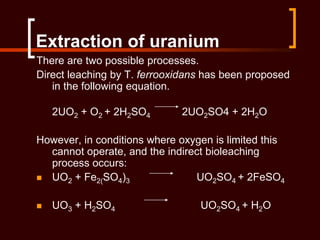 Extraction of uranium
There are two possible processes.
Direct leaching by T. ferrooxidans has been proposed
in the following equation.
2UO2 + O2 + 2H2SO4 2UO2SO4 + 2H2O
However, in conditions where oxygen is limited this
cannot operate, and the indirect bioleaching
process occurs:
 UO2 + Fe2(SO4)3 UO2SO4 + 2FeSO4
 UO3 + H2SO4 UO2SO4 + H2O
 