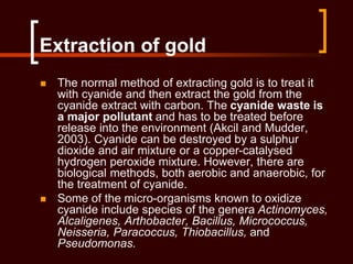 Extraction of gold
 The normal method of extracting gold is to treat it
with cyanide and then extract the gold from the
cyanide extract with carbon. The cyanide waste is
a major pollutant and has to be treated before
release into the environment (Akcil and Mudder,
2003). Cyanide can be destroyed by a sulphur
dioxide and air mixture or a copper-catalysed
hydrogen peroxide mixture. However, there are
biological methods, both aerobic and anaerobic, for
the treatment of cyanide.
 Some of the micro-organisms known to oxidize
cyanide include species of the genera Actinomyces,
Alcaligenes, Arthobacter, Bacillus, Micrococcus,
Neisseria, Paracoccus, Thiobacillus, and
Pseudomonas.
 