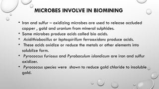 BIOMINING OF METALS in ENVIRONMENTAL MICROBIOLOGY | PPTX