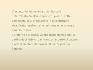L’ aspetto fondamentale di un bosco è determinato da alcune specie di piante, dette dominanti, che, organizzate in una struttura stratificata, usufruiscono del clima e della luce a loro più consoni.All’interno del bosco, vivono molti animali che, a partire dagli erbivori, entrano a far parte di catene e reti alimentari, determinandone l’equilibrio naturale.3