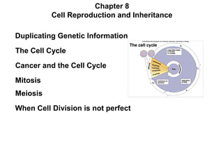 Chapter 8
Cell Reproduction and Inheritance
Duplicating Genetic Information
The Cell Cycle
Cancer and the Cell Cycle
Mitosis
Meiosis
When Cell Division is not perfect

 