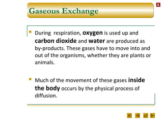 XX
Gaseous Exchange
 During respiration, oxygen is used up and
carbon dioxide and water are produced as
by-products. These gases have to move into and
out of the organisms, whether they are plants or
animals.
 Much of the movement of these gases inside
the body occurs by the physical process of
diffusion.
 