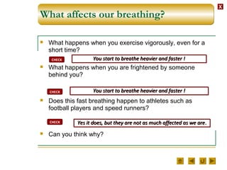 XX
What affects our breathing?
 What happens when you exercise vigorously, even for a
short time?
 What happens when you are frightened by someone
behind you?
 Does this fast breathing happen to athletes such as
football players and speed runners?
 Can you think why?
CHECK You start to breathe heavier and faster !You start to breathe heavier and faster !
CHECK You start to breathe heavier and faster !You start to breathe heavier and faster !
CHECK Yes it does, but they are not as much affected as we are.Yes it does, but they are not as much affected as we are.
 