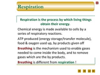 XX
Respiration
Respiration is the process by which living things
obtain their energy.
Chemical energy is made available to cells by a
series of respiratory reactions.
ATP produced (energy storage/transfer molecule),
food & oxygen used up, by products given off
Breathing is the mechanism used to enable gases
needed to come inside the body, and to remove
gases which are the by products.
Breathing is different from respiration !
 