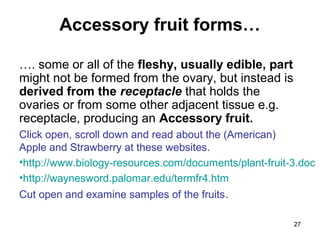 Biology M4 Flowers to fruits and seeds | PPT