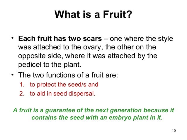 Biology M4 Flowers to fruits and seeds