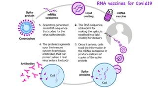 RNA vaccines for Covid19
 